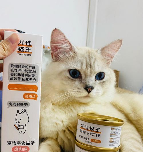 猫咪饮食（了解猫咪的饮食习惯）