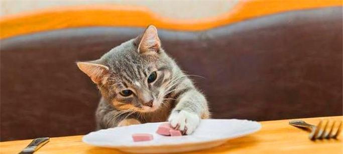 宠物猫咪能否吃猪肉（探究猫咪饮食健康问题）