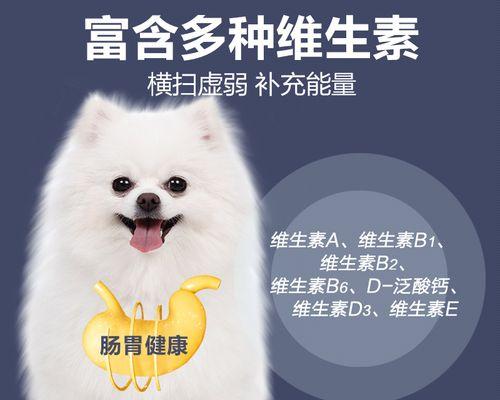 狗狗的生育周期（了解狗狗生育规律）