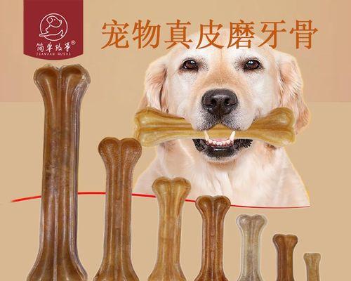 当宠物犬咬主人，你该怎么办（处理宠物犬咬人事件的5个重要步骤）