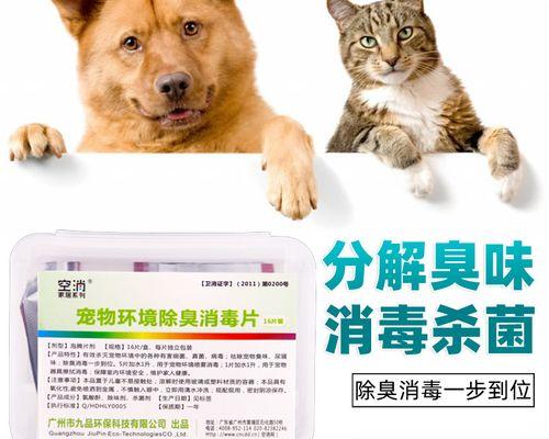 如何有效去除宠物猫尿味（消除家中异味）