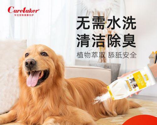 狗狗有螨虫，洗澡几天后好（宠物护理必知）
