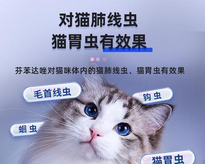 猫咪健康必备——打疫苗驱虫（宠物医疗费用）