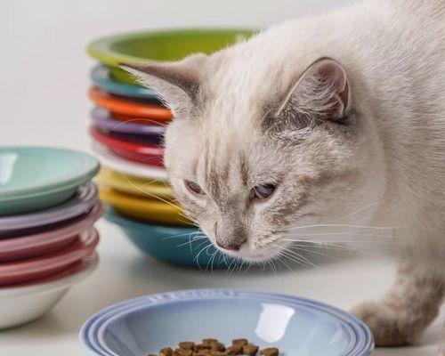 宠物猫咪拉稀该泡猫粮吗（如何缓解猫咪腹泻）