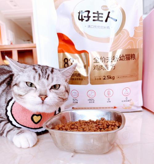 猫咪的高蛋白饮食（为您的爱猫提供健康的高蛋白食物）