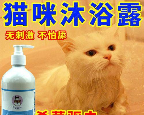 如何预防孕妇因宠物身上的螨虫而患病（宠物猫身上的螨虫是什么）