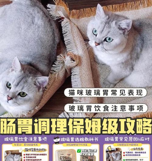猫咪的消化系统与肠胃健康（宠物猫的饮食与健康/猫咪肠胃问题的预防和解决）