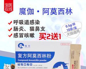如何缓解犬瘟狗咳嗽（宠物的健康需要我们的关注）