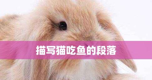三个月大小猫可不可吃鱼（宠物的健康与饮食习惯）