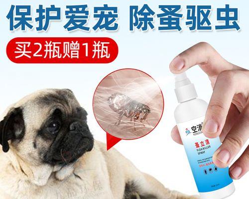 如何给宠物除去身上的虱子（以土狗身上有虱子为例）