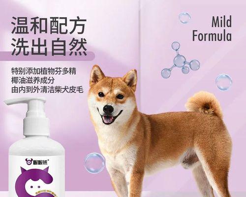 如何给宠物狗狗洗澡（注意事项及洗澡步骤）