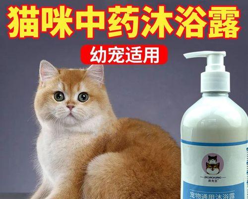 猫咪洗澡知多少（以帮猫洗澡多少次好为主题探讨）