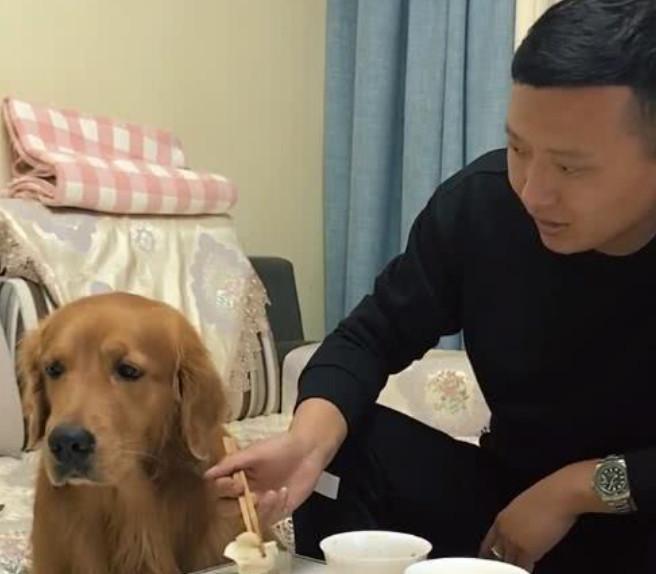 狗狗可以吃玉米饺吗（探究狗狗是否适合食用玉米饺以及注意事项）