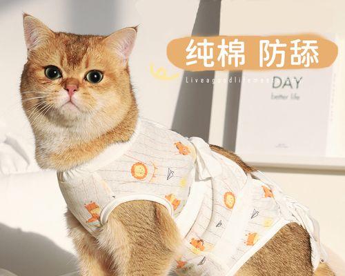 猫咪绝育死亡，医院不赔偿（宠物主人应如何维护自己的权益）