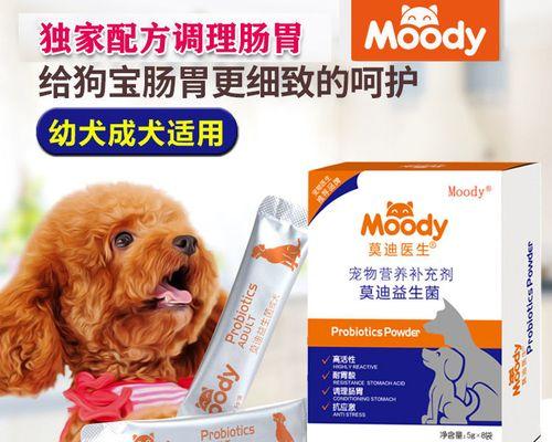 10天狗狗吃什么吐什么？如何治疗？