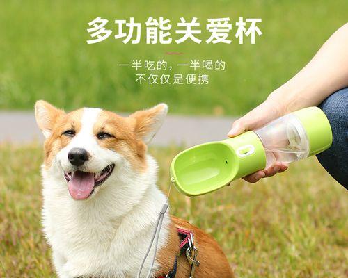 2个月大的小狗一餐应该喂多少？如何合理安排饮食？