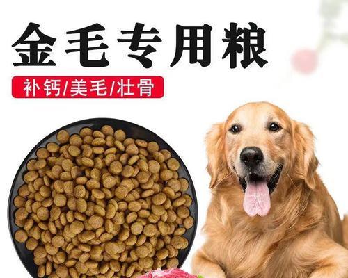 2个月大的小金毛每顿应该吃多少狗粮？如何定量？