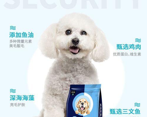 6岁泰迪吃多少狗粮？饮食量如何控制？