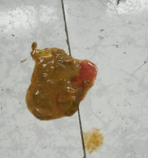 15天的小狗拉稀怎么办？幼犬拉稀的原因和解决方法有哪些？
