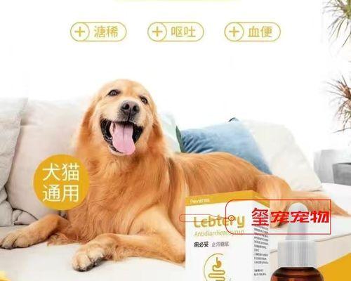 2岁狗狗肠胃炎怎么治疗？狗狗肠胃炎的症状和治疗方法有哪些？