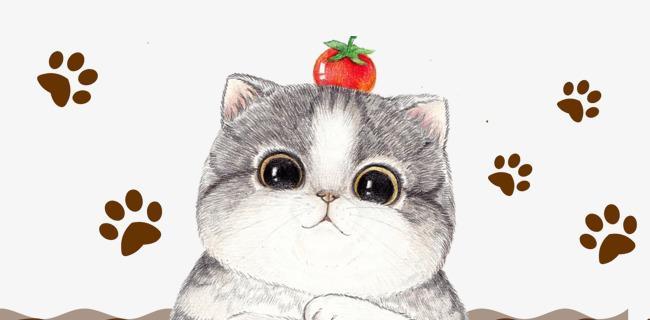 logo猫咪头像怎么设计？猫咪头像设计的技巧和方法有哪些？