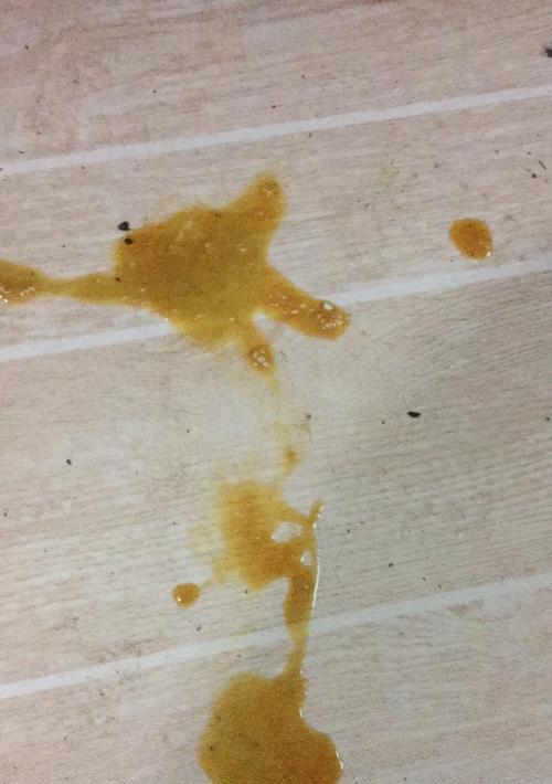 40天小狗发热拉稀怎么办？小狗发热拉稀有哪些原因和治疗方法？