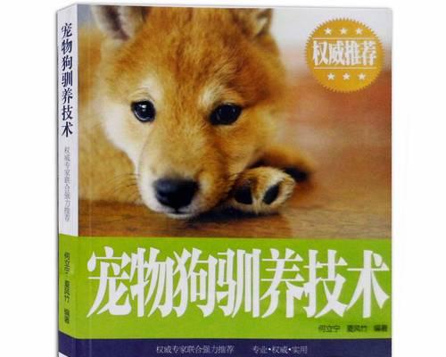3个月小狗喂养方法有哪些？小狗不同阶段的饮食建议是什么？