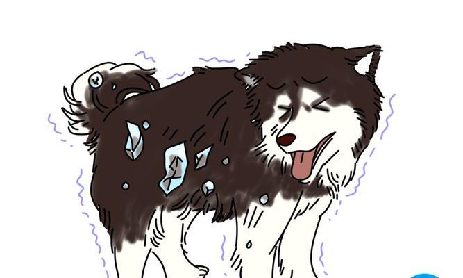 阿拉斯加幼犬漫画有哪些推荐？阿拉斯加幼犬漫画如何选择？