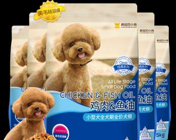 6个月泰迪狗粮推荐？泰迪犬不同阶段的狗粮选择有哪些？