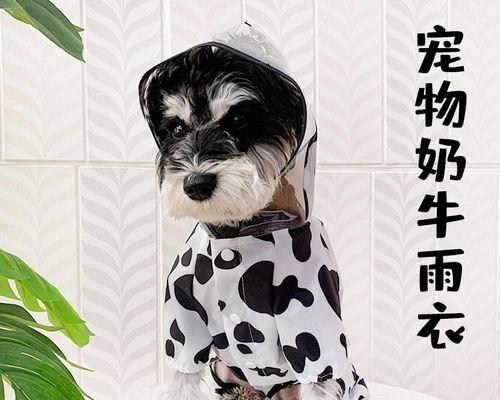 被小狗狗咬破皮了怎么办？被幼犬咬伤后的处理方法是什么？