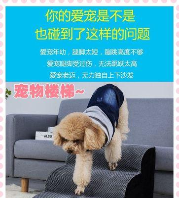 被小狗狗咬破皮了怎么办？被幼犬咬伤后的处理方法是什么？