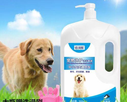 刚出生的小狗消毒怎么做？新生小狗消毒方法有哪些？
