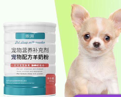 刚刚出生的狗狗怎么保暖？有哪些保暖措施适合新生狗狗？