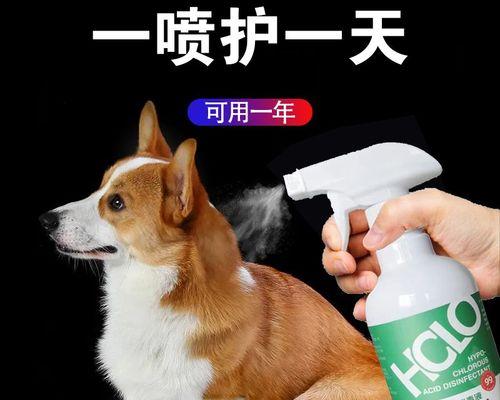 刚出生小猫哪种猫砂好？新生小猫适合的猫砂类型是什么？
