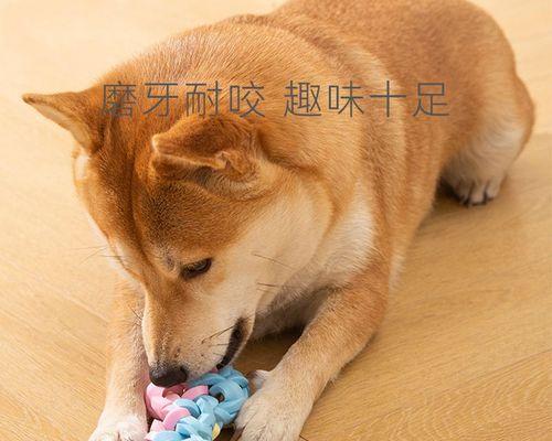 大狗生完小狗吃什么？产后母狗的饮食安排有哪些？