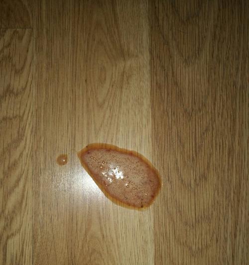 狗狗肠胃炎组织症状有哪些？狗狗肠胃炎的表现是什么？