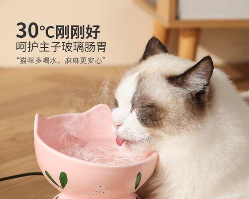 刚生下的猫怎么喂食？新生猫咪的喂养方法有哪些？
