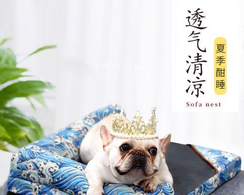 冬天狗狗睡狗窝冷吗？冬季狗狗狗窝的选择有哪些注意事项？