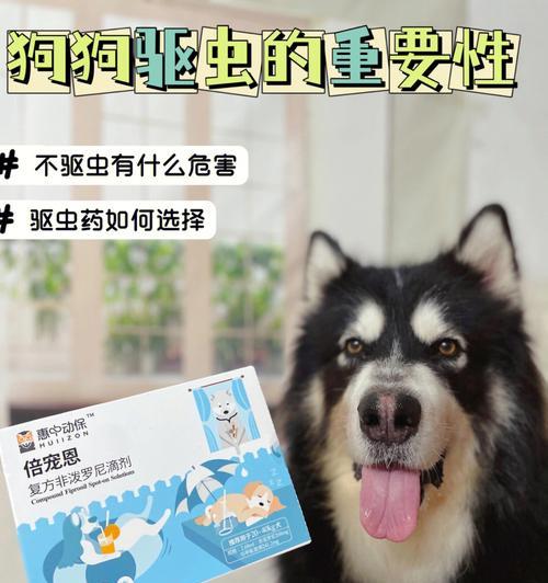 刚出生的小狗驱虫预防怎么做？新生小狗驱虫预防的注意事项是什么？