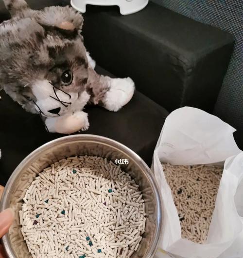多大猫咪能用猫砂？猫咪使用猫砂的年龄标准是什么？