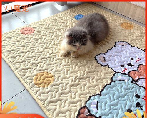 给宠物猫抓出血怎么办？猫咪抓伤出血的处理方法有哪些？