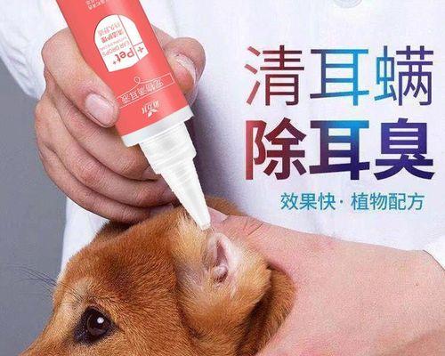 多久给狗狗洗一次耳朵？狗狗耳朵清洗的频率是多少？