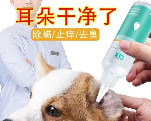 多久给狗狗洗一次耳朵？狗狗耳朵清洗的频率是多少？