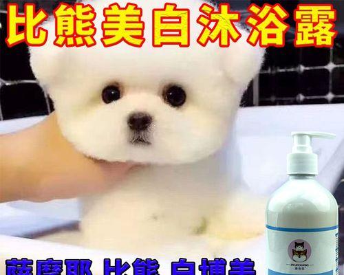 博美幼犬沐浴露推荐一下？博美幼犬沐浴露的选择有哪些？