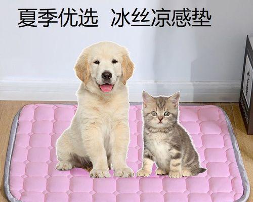 刚出生泰迪狗狗都死了怎么办？新生泰迪死亡的原因有哪些？