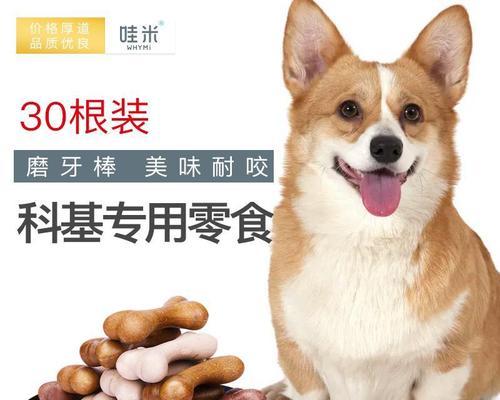 宠物犬不能吃什么？狗狗饮食禁忌有哪些？