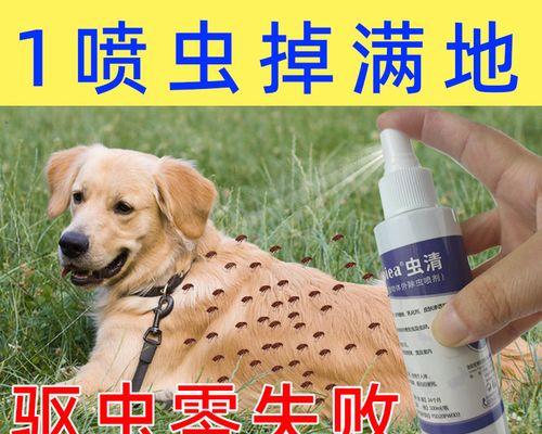 刚出生的小狗有跳蚤吗？新生小狗跳蚤预防的方法有哪些？