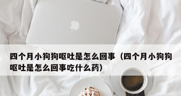 刚出生小狗呕吐怎么办？新生小狗呕吐的原因有哪些？