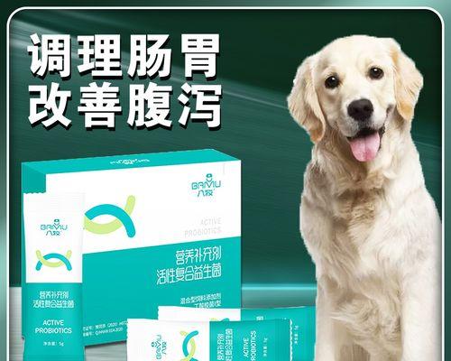 出生两天小狗拉稀怎么办？新生小狗拉稀的原因和治疗方法是什么？