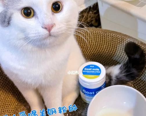 刚生的小猫羊奶粉吗？新生猫咪的奶类选择有哪些？